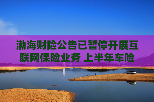 渤海财险公告已暂停开展互联网保险业务 上半年车险签单保费占比超7成 公司偿付能力不达标困局仍待解