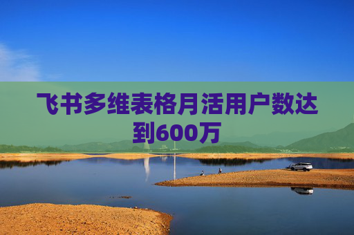 飞书多维表格月活用户数达到600万