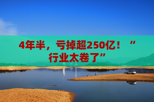 4年半，亏掉超250亿！“行业太卷了”