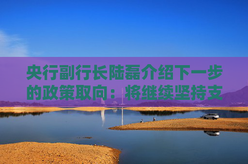 央行副行长陆磊介绍下一步的政策取向：将继续坚持支持性的货币政策，加快落实好已出台的政策举措