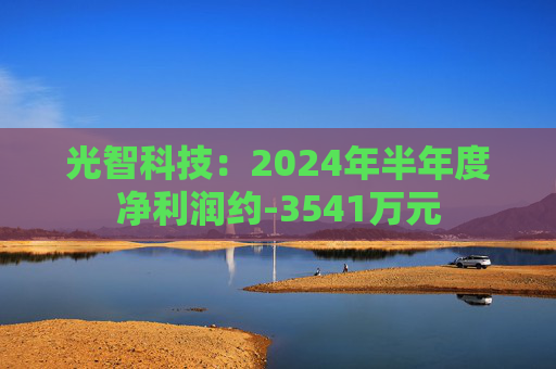 光智科技：2024年半年度净利润约-3541万元