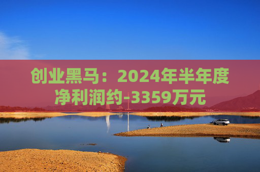 创业黑马：2024年半年度净利润约-3359万元