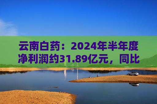 云南白药：2024年半年度净利润约31.89亿元，同比增加12.76%