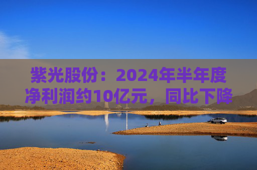 紫光股份：2024年半年度净利润约10亿元，同比下降2.13%