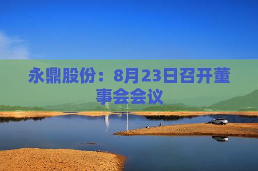 永鼎股份：8月23日召开董事会会议