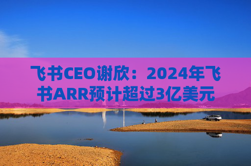 飞书CEO谢欣：2024年飞书ARR预计超过3亿美元