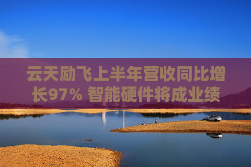 云天励飞上半年营收同比增长97% 智能硬件将成业绩新增长点