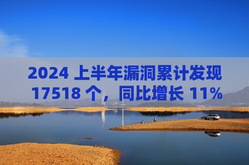 2024 上半年漏洞累计发现 17518 个，同比增长 11%