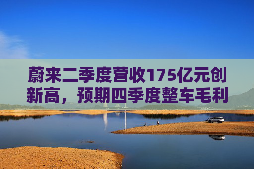 蔚来二季度营收175亿元创新高，预期四季度整车毛利率15%