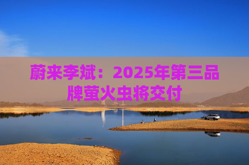 蔚来李斌：2025年第三品牌萤火虫将交付