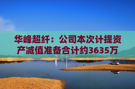 华峰超纤：公司本次计提资产减值准备合计约3635万元