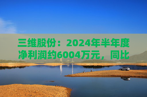 三维股份：2024年半年度净利润约6004万元，同比下降48.08%