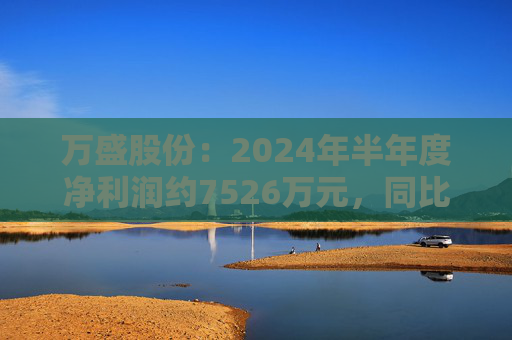 万盛股份：2024年半年度净利润约7526万元，同比下降34.94%