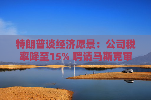 特朗普谈经济愿景：公司税率降至15% 聘请马斯克审查联邦支出