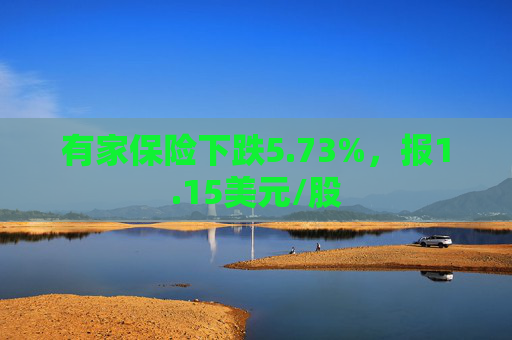 有家保险下跌5.73%，报1.15美元/股