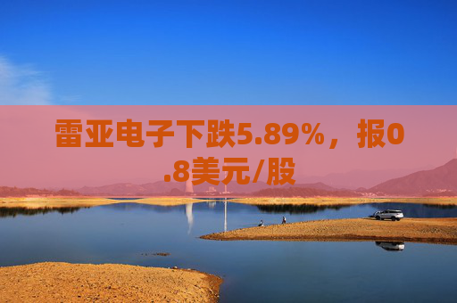 雷亚电子下跌5.89%，报0.8美元/股