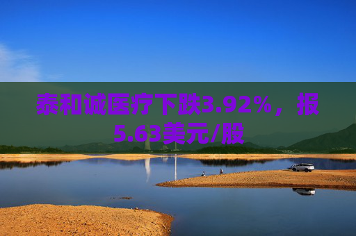 泰和诚医疗下跌3.92%，报5.63美元/股