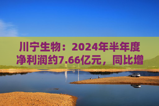 川宁生物：2024年半年度净利润约7.66亿元，同比增加96.05%