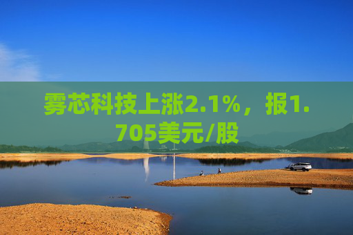 雾芯科技上涨2.1%，报1.705美元/股