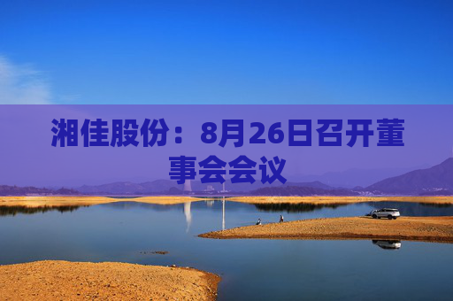 湘佳股份：8月26日召开董事会会议