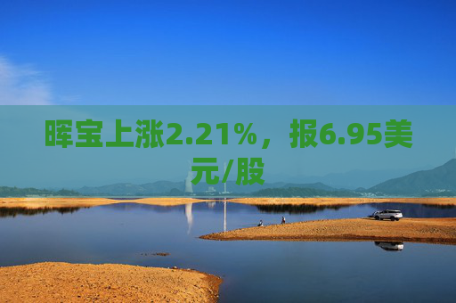 晖宝上涨2.21%，报6.95美元/股