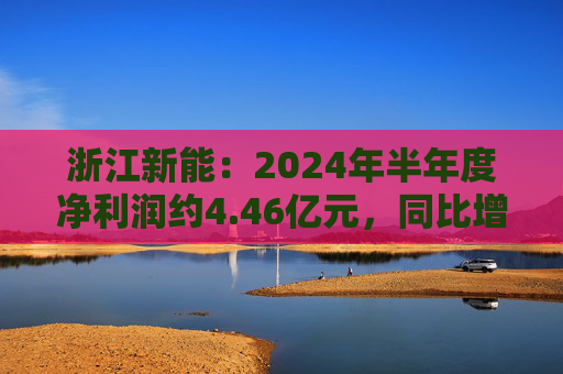 浙江新能：2024年半年度净利润约4.46亿元，同比增加49.92%