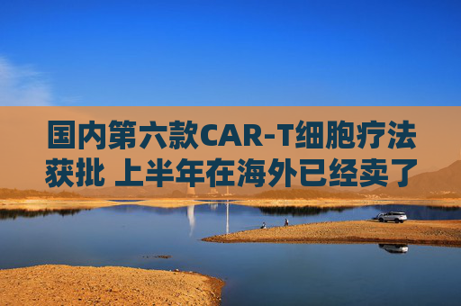 国内第六款CAR-T细胞疗法获批 上半年在海外已经卖了超3亿美元