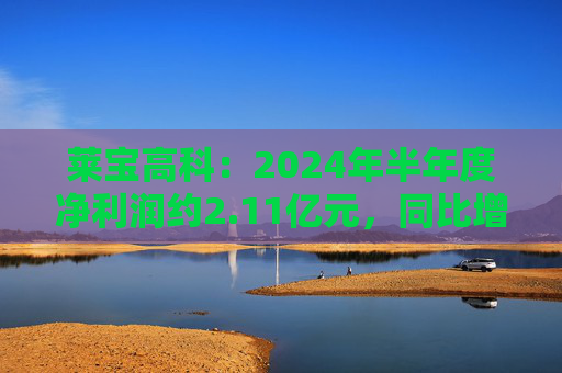 莱宝高科：2024年半年度净利润约2.11亿元，同比增加6.82%