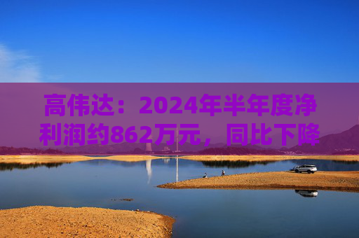 高伟达：2024年半年度净利润约862万元，同比下降41.41%