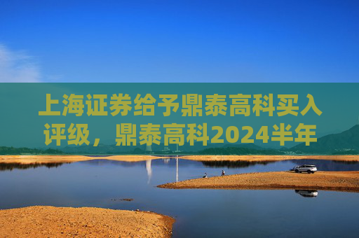 上海证券给予鼎泰高科买入评级，鼎泰高科2024半年报点评：Q2经营显著改善，新兴业务势能强劲