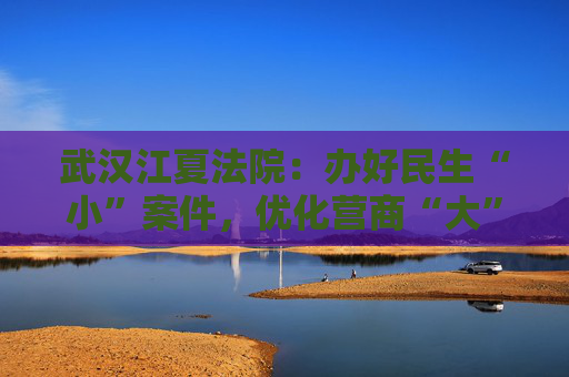 武汉江夏法院：办好民生“小”案件，优化营商“大”环境