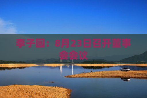 李子园：8月23日召开董事会会议