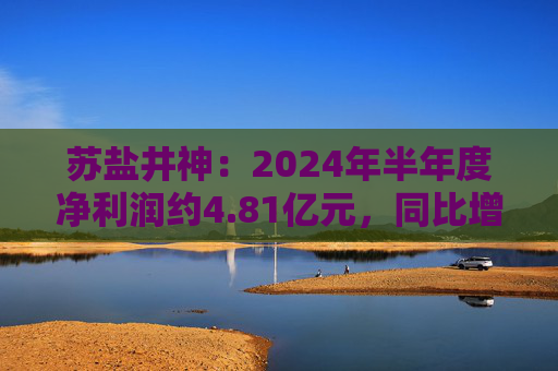 苏盐井神：2024年半年度净利润约4.81亿元，同比增加18.92%