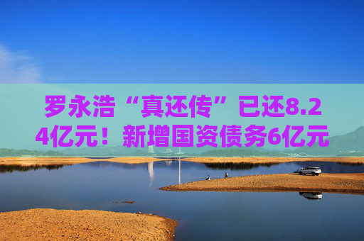 罗永浩“真还传”已还8.24亿元！新增国资债务6亿元