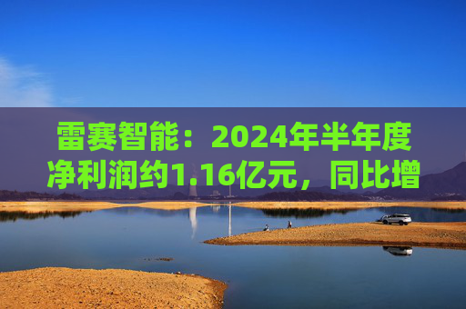 雷赛智能：2024年半年度净利润约1.16亿元，同比增加54.29%