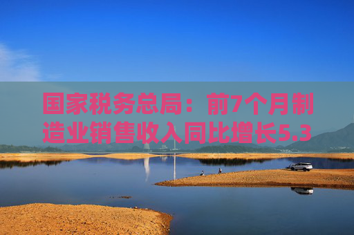 国家税务总局：前7个月制造业销售收入同比增长5.3%