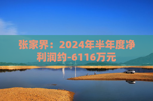 张家界：2024年半年度净利润约-6116万元