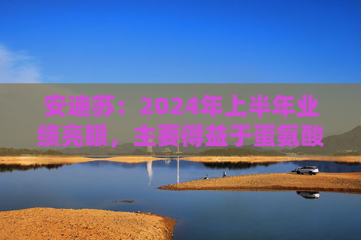 安迪苏：2024年上半年业绩亮眼，主要得益于蛋氨酸业务的强劲增长等