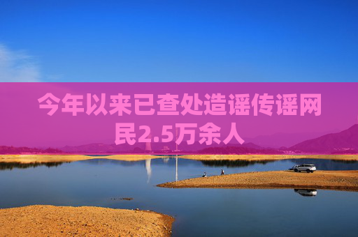 今年以来已查处造谣传谣网民2.5万余人