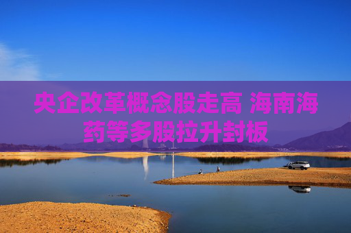 央企改革概念股走高 海南海药等多股拉升封板