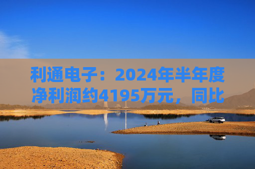 利通电子：2024年半年度净利润约4195万元，同比增加54.26%