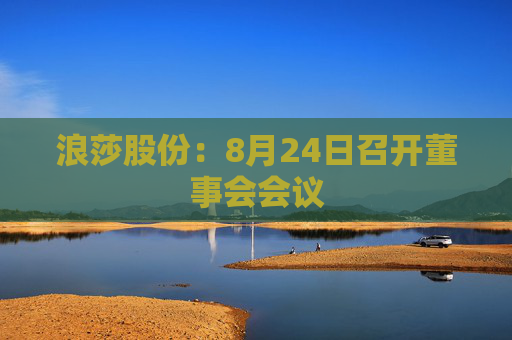 浪莎股份：8月24日召开董事会会议