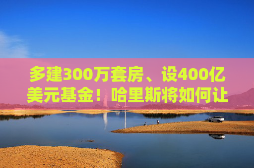 多建300万套房、设400亿美元基金！哈里斯将如何让美国人“有房住”？