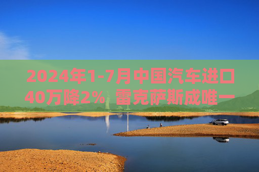 2024年1-7月中国汽车进口40万降2%  雷克萨斯成唯一销量正增长豪华品牌