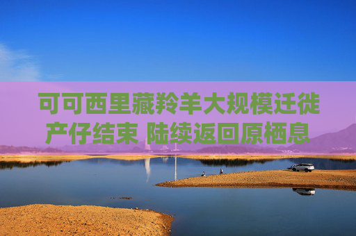 可可西里藏羚羊大规模迁徙产仔结束 陆续返回原栖息地