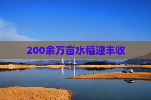 200余万亩水稻迎丰收