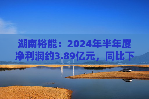 湖南裕能：2024年半年度净利润约3.89亿元，同比下降68.57%