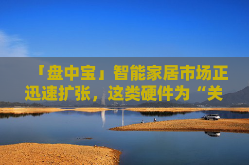 「盘中宝」智能家居市场正迅速扩张，这类硬件为“关键流量入口”之一，多家科技厂商大力布局，这家公司是多家互联网巨头的主流供应商