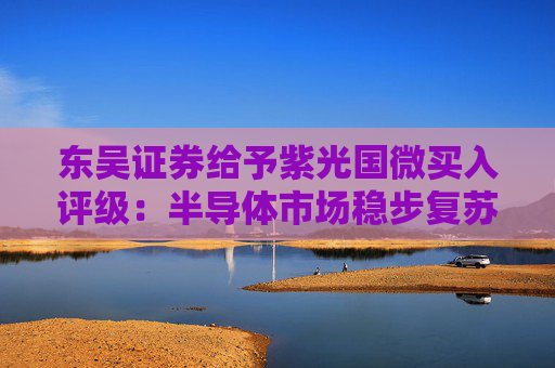 东吴证券给予紫光国微买入评级：半导体市场稳步复苏，业绩有望持续增长