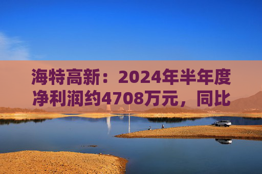 海特高新：2024年半年度净利润约4708万元，同比增加64.73%